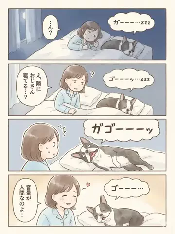 都内のチワワのTikTok投稿