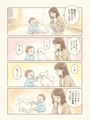 都内のチワワのTikTok投稿
