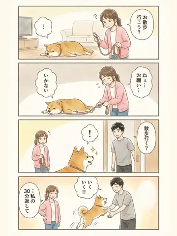 都内のチワワのTikTok投稿