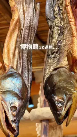 こどもとおでかけ北海道のTikTok投稿