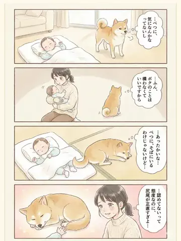 都内のチワワのTikTok投稿