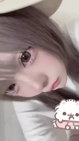 にゃんず日記のTikTok投稿