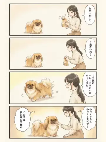 都内のチワワのTikTok投稿