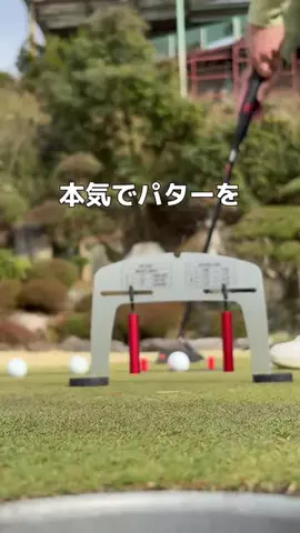 jinei_golfのTikTok投稿