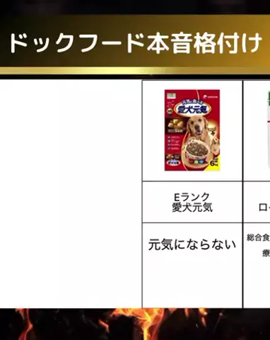 都内のチワワのTikTok投稿