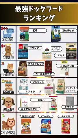 都内のチワワのTikTok投稿