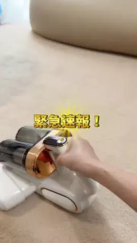 ぽめ⌇ワンオペママのTikTok投稿