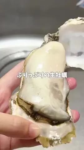 ぽめ⌇ワンオペママのTikTok投稿