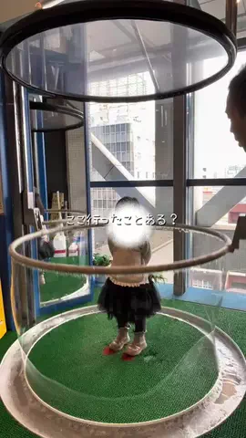 yukki_mutenkaのTikTok投稿