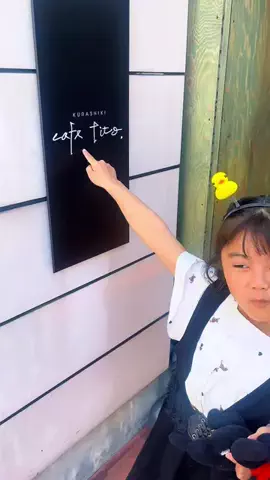 【爆食JS】あおさん🧸🍯のTikTok投稿
