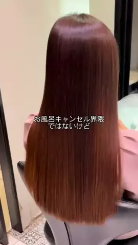 これが社長秘書のTikTok投稿