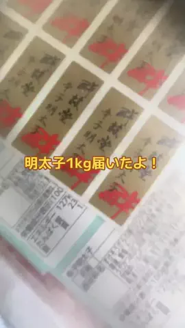 もんでん ゆうこのTikTok投稿