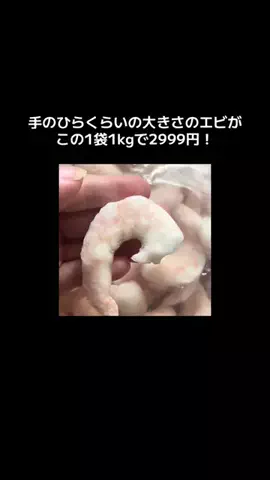 もんでん ゆうこのTikTok投稿