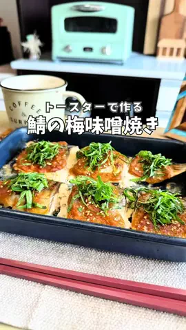 iro_toasterのTikTok投稿