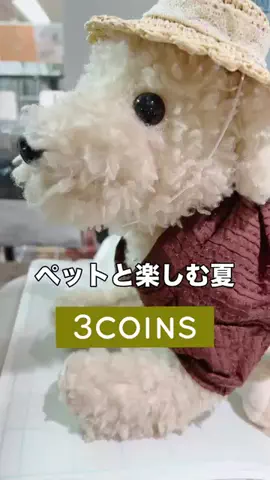 3coins_hiiのTikTok投稿