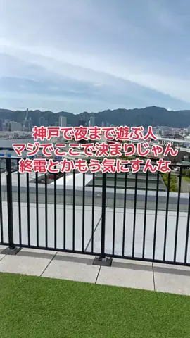 野良猫　イチくんとナナちゃんのTikTok PR投稿：#TIKTOKGO #PR #センチュリオンホテル＆スパヴィンテージ神戸 