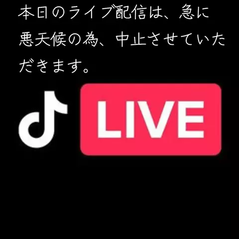 M.oグループ「代表」のTikTok投稿