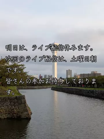 M.oグループ「代表」のTikTok投稿