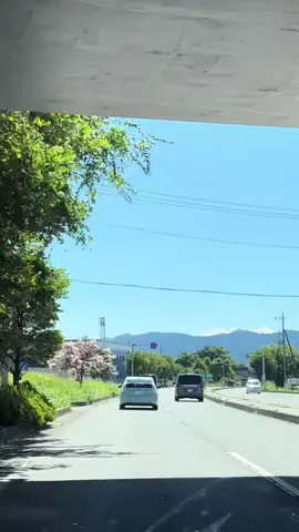 埼玉グルメ／SAITAMA SELECTのTikTok投稿