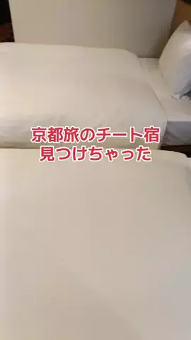 野良猫　イチくんとナナちゃんのTikTok PR投稿：#TIKTOKGO #PR #ザ・ワンファイブ京都四条 
