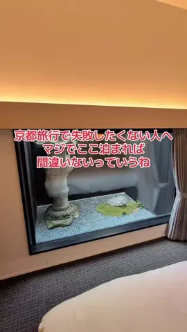 野良猫　イチくんとナナちゃんのTikTok PR投稿：#TIKTOKGO #PR #kyotology 