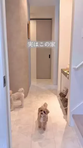 kurumi_myhomeのTikTok投稿