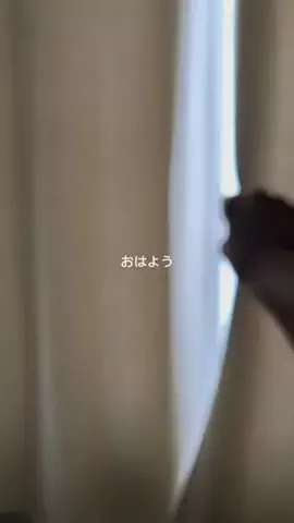 りほ⌇美容重課金女のTikTok投稿