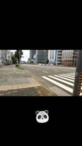 パンダちゃん🐼東海ディープのTikTok投稿