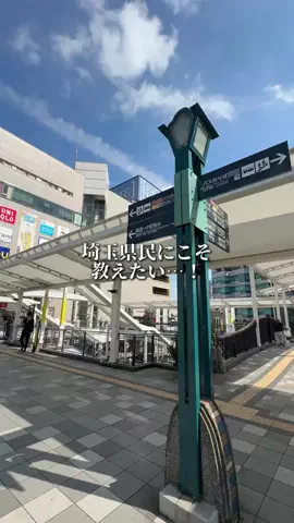 埼玉グルメ／SAITAMA SELECTのTikTok投稿
