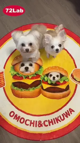 ぁぃ様🐈‍⬛⸒⸒⸒⸒🐾❤︎のTikTok投稿