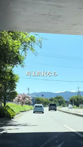 埼玉グルメ／SAITAMA SELECTのTikTok投稿