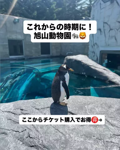 まるぐるめ【北海道グルメ・観光】のTikTok投稿