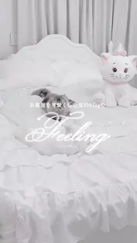 ℎ𝑖𝑛𝑎のTikTok投稿