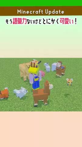 Hacchi_SymBoxのTikTok投稿
