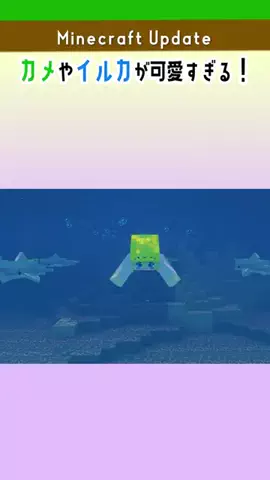 Hacchi_SymBoxのTikTok投稿