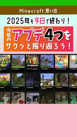 Hacchi_SymBoxのTikTok投稿