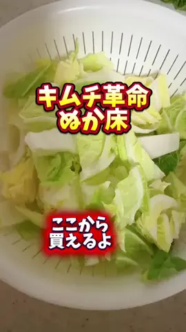 みやも人形のTikTok投稿