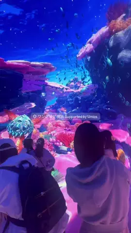 真衣のTikTok PR投稿：横浜にあるお出かけスポット☀️詳細は⬇️ 3/19にオープ…