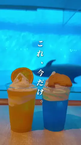 みーす家✈︎福岡・九州旅行のTikTok投稿