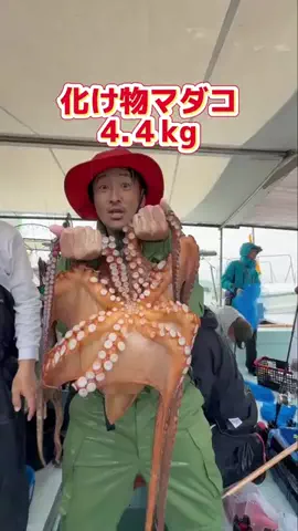 広島たにさんのぼれやびゃー動画のTikTok投稿