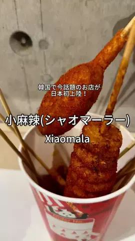 しんマニアのTikTok投稿