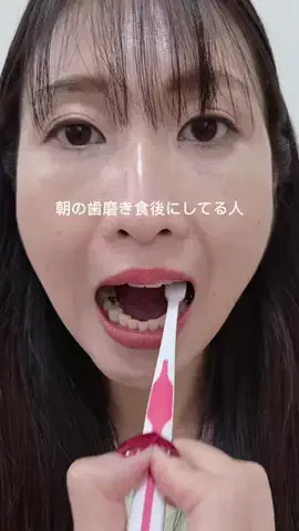 まるこ🐶のTikTok投稿