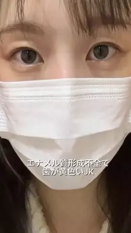 まるこ🐶のTikTok投稿