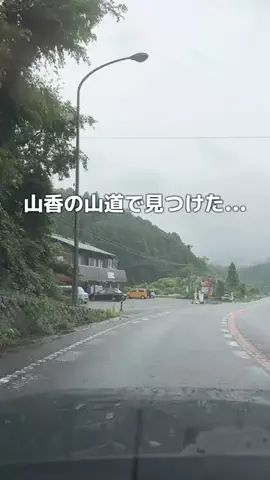 わたる🚗³₃大分県のお出かけスポットのTikTok投稿
