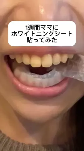まるこ🐶のTikTok投稿