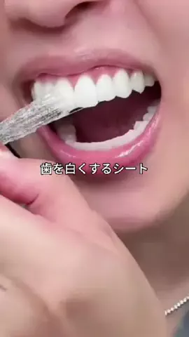 まるこ🐶のTikTok投稿