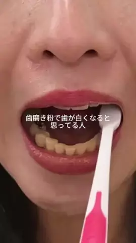 まるこ🐶のTikTok投稿