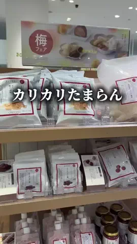 《3COINS公式》HITOMIのTikTok投稿