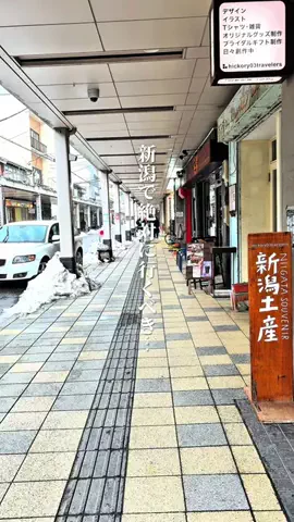 すう⌇誰かに教えたい新潟グルメのTikTok投稿