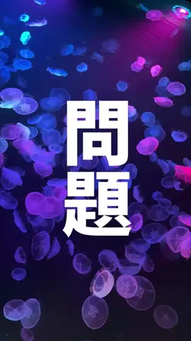 ラヒ | 週末お出かけナビのTikTok投稿